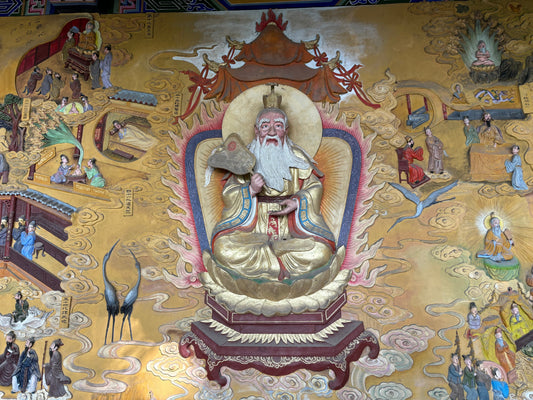 Navigating the World: The Clarity of the True Self