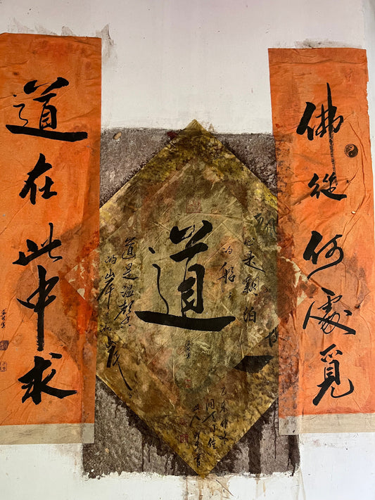 The Scriptures and Doctrines of the Zhengyi School of Longhu Mountain