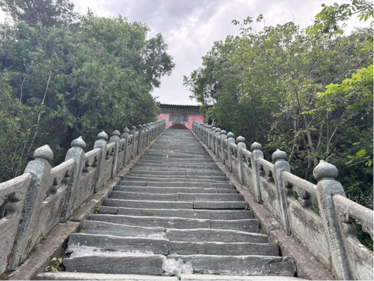 The Wisdom of Contentment and Letting Go