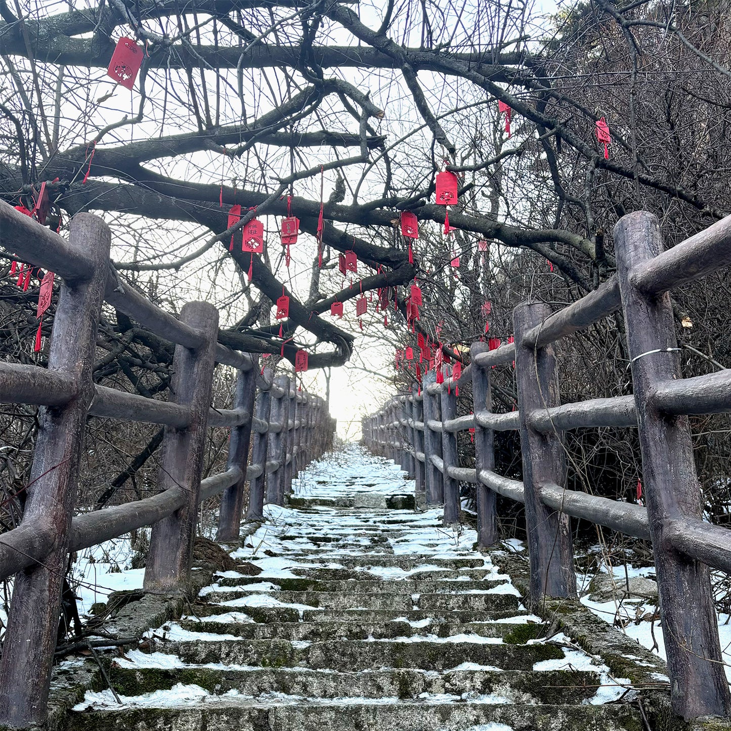 LonghuTao 聖山巔峯祈福——將你的心願錨定於山巔